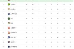 开云足球直播-上港大比分获胜，登顶积分榜的简单介绍