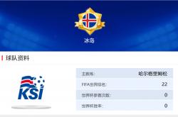 开云体育登录-冰岛国家队逆袭成功，奇迹晋级