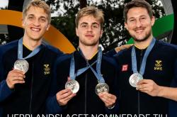 开云体育中国-瑞典队完胜法国队，马龙扛起全队