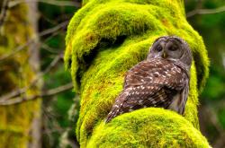 开云体育下载-绿茵场上的双重救赎，维尼修斯如何用一粒进球治愈两个国家