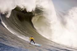 开云体育官网-小贾伦赛后评分拉满，掘金对阵深圳队，一场定义唯一性的表演