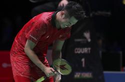 开云体育中国-中国羽毛球队险胜法国羽毛球队，林丹关键制胜的简单介绍